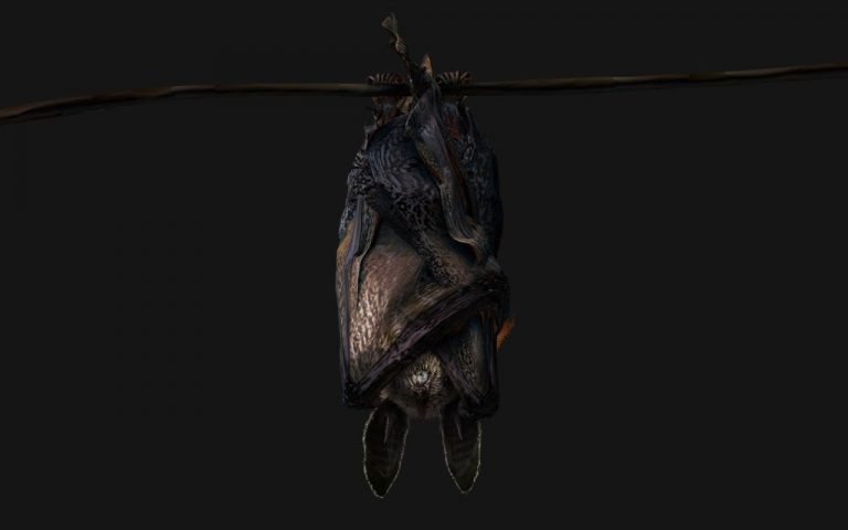Bat – Drømmenes Betydning Og Symbolik 1
