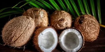 Kokosnød - Drømmenes Betydning Og Symbolik 50