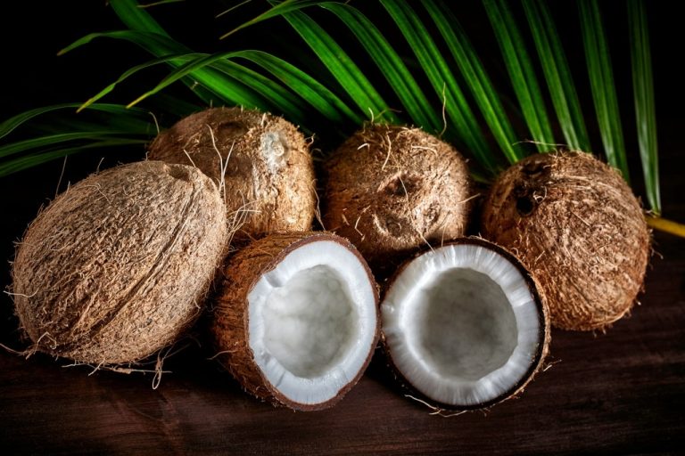 Kokosnød - Drømmenes Betydning Og Symbolik 1