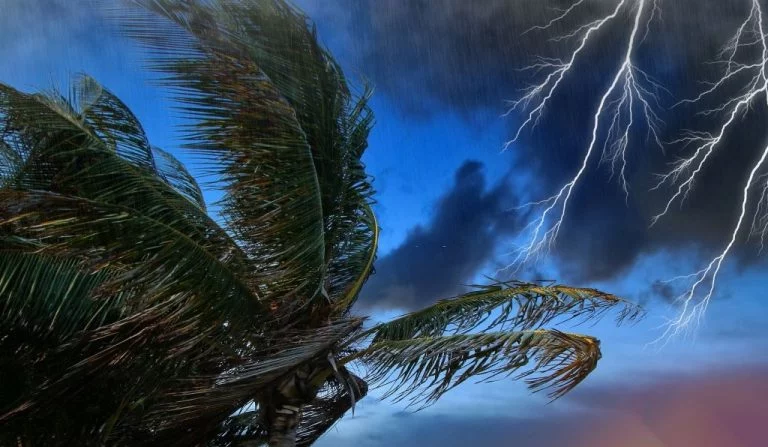 Orkanen – Drømmenes Betydning Og Symbolik 1