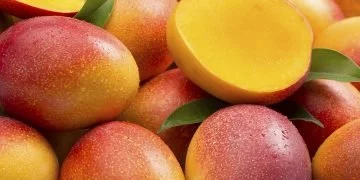 Mango - Drømmenes Betydning Og Symbolik 11