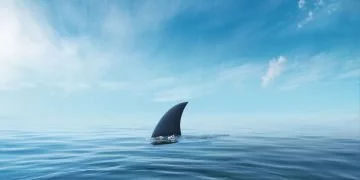 Shark – Drømmenes Betydning Og Symbolik 62