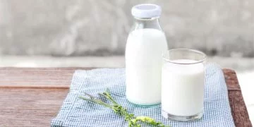 Mælk – Drømmenes Betydning Og Symbolik 24