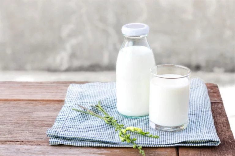 Mælk – Drømmenes Betydning Og Symbolik 1
